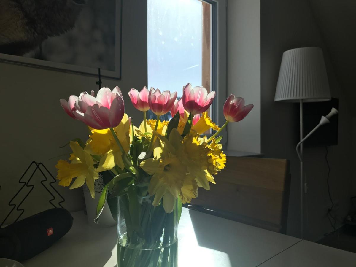 Penzion Kvilda - Lucni Bagian luar foto